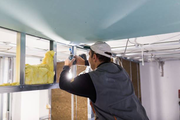 Best Batt and Roll Insulation  in Zion, IL