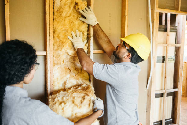 Best Wall Insulation Installation  in Zion, IL