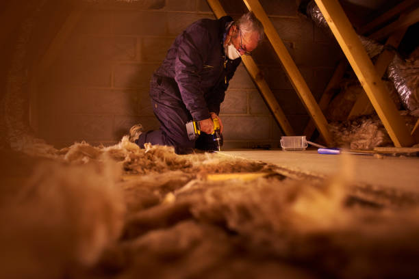 Best Insulation Air Sealing  in Zion, IL